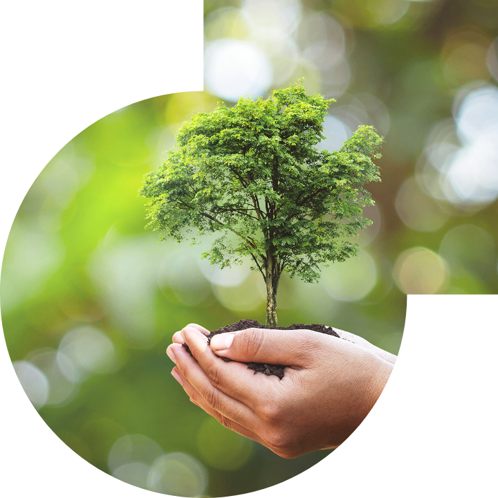 关怀人类、文化、环境与社会